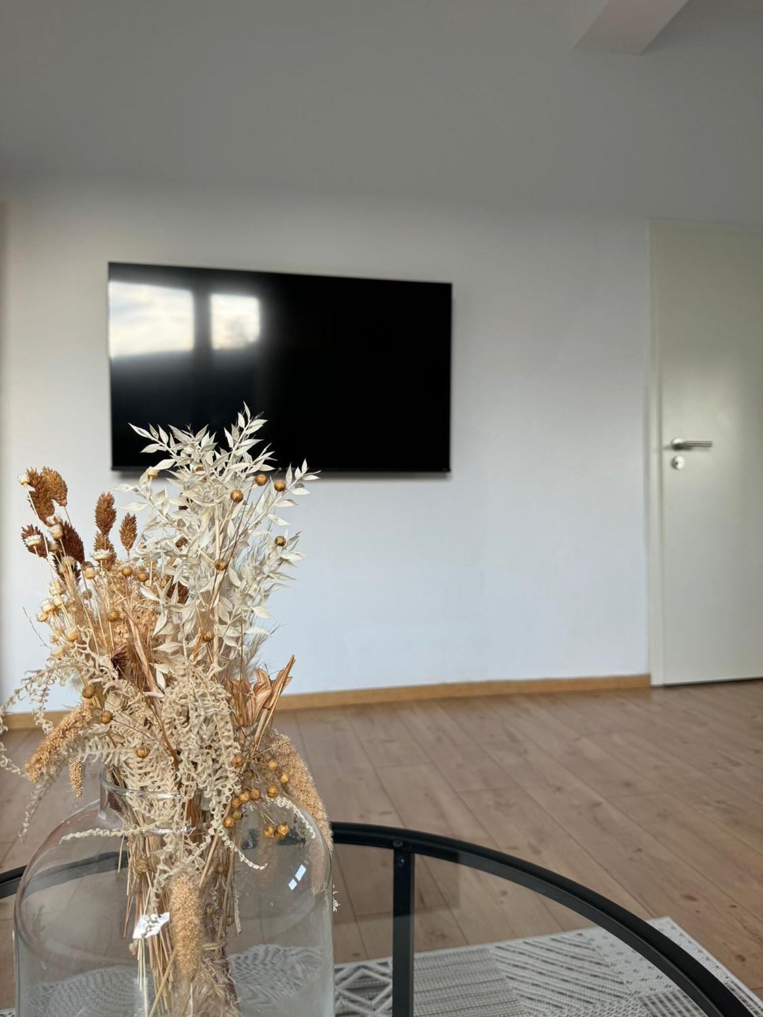 Family And Business Three Apartment Mannheim